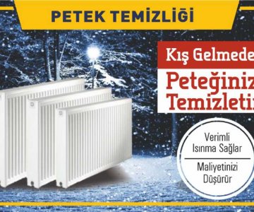 PETEK TEMİZLİĞİ